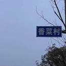 灼滟_