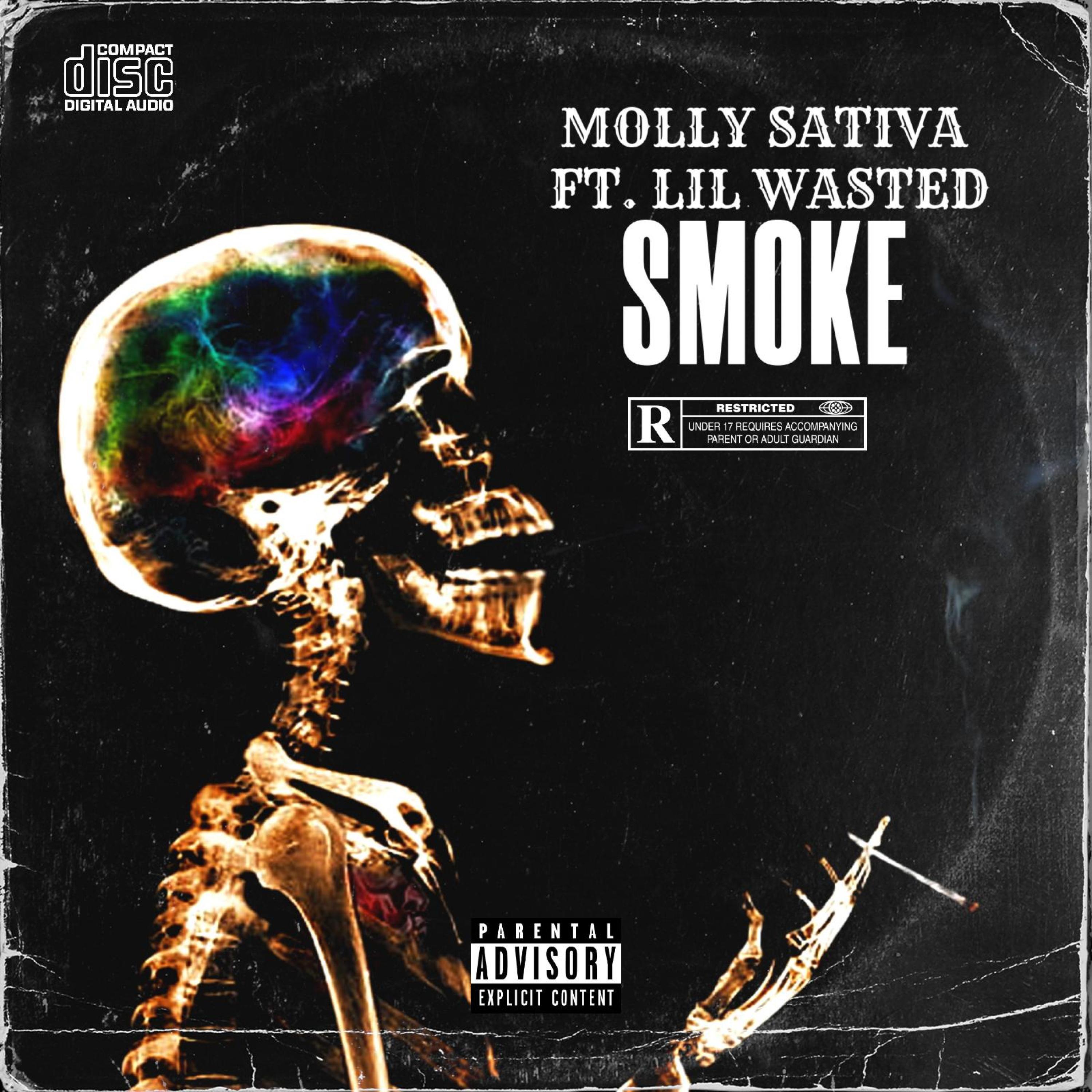 SMØKE (feat. Lil Wasted)