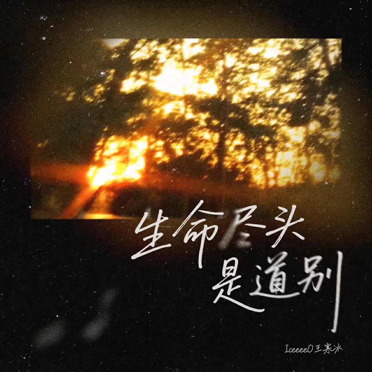 生命尽头是道别_王寒冰_生命尽头是道别 | 在线播放_生命尽头是道别歌词_生命尽头是道别下载 | 网易云音乐