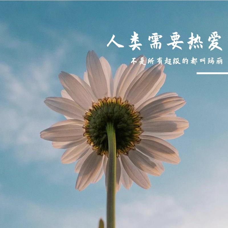 两个男朋友封面