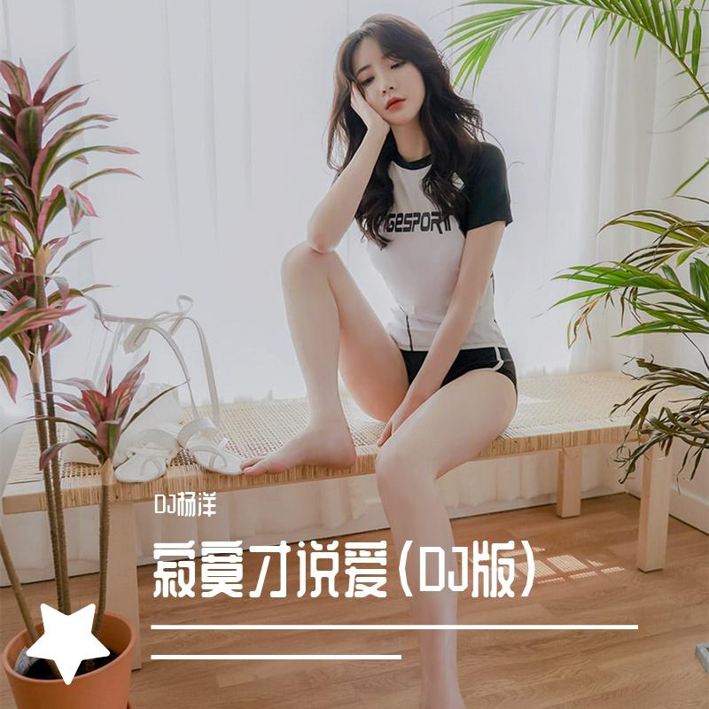 寂寞才说爱（DJ版）