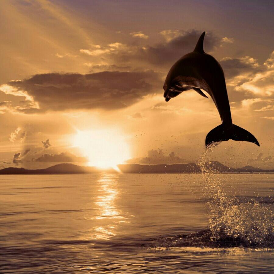 【励志】阳光，青春，大气，正能量…