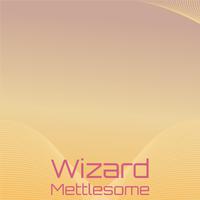 Wizard Mettlesome