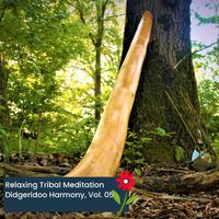 Relaxing Tribal Meditation Didgeridoo Harmony, Vol. 05