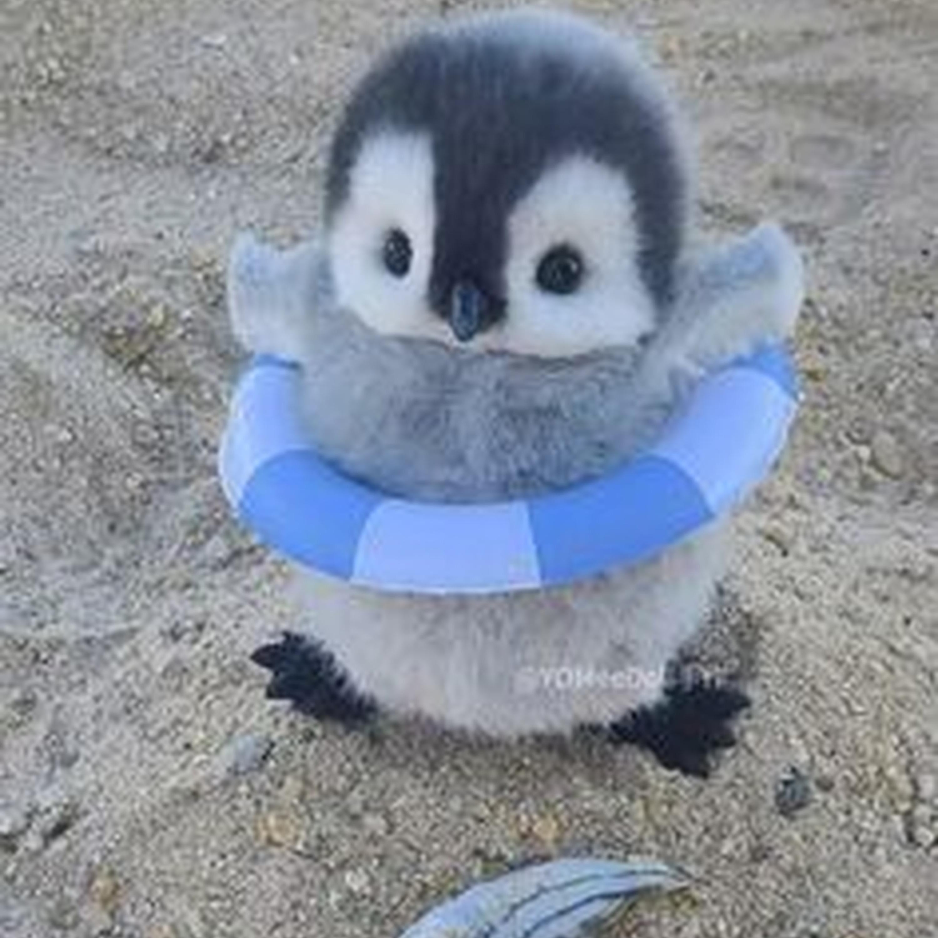 Never Ever Getting Rid Of Me