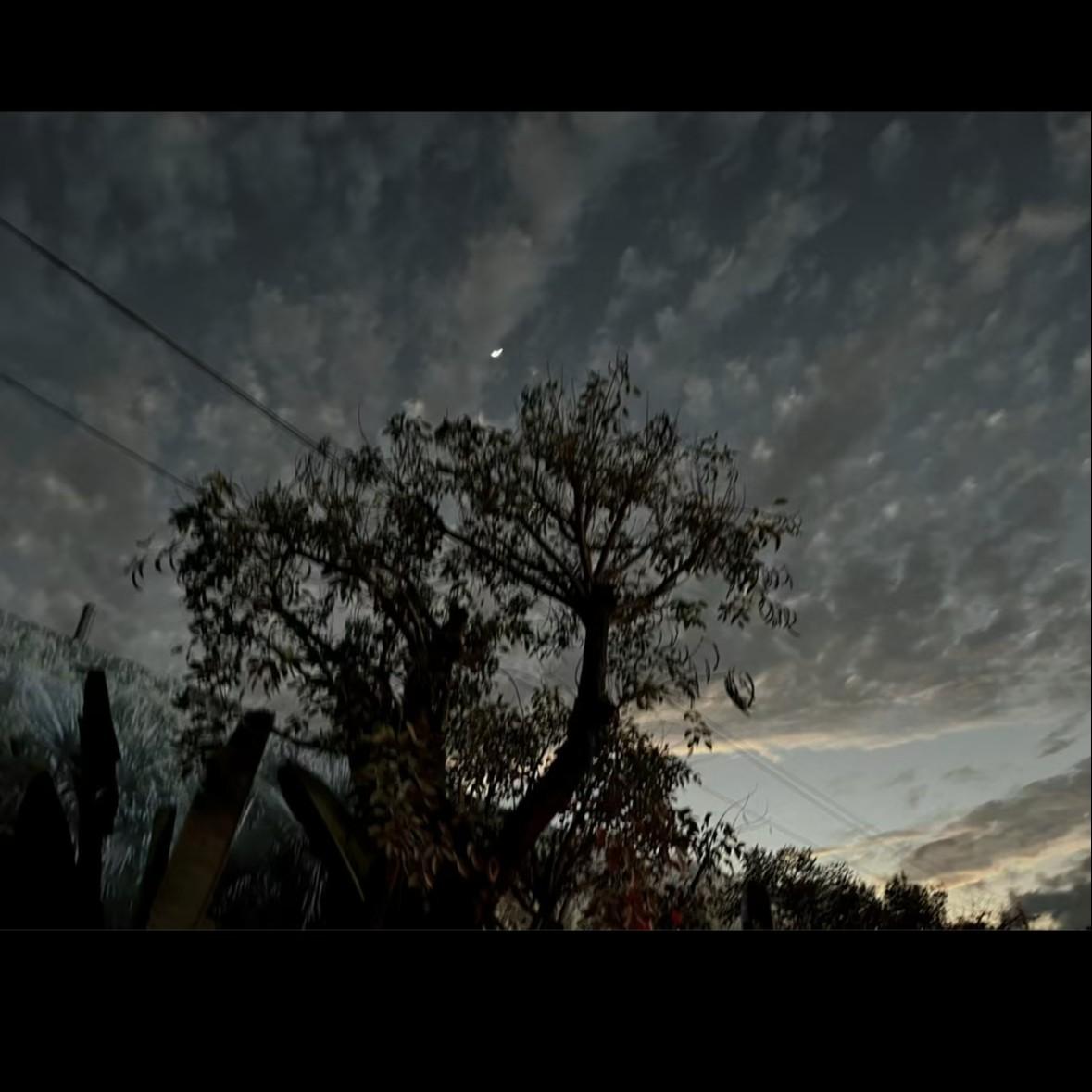 我们最后一首情歌