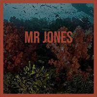 Mr Jones