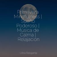 Primavera Mindfulness | Sueño Poderoso | Música de Calma | Relajación