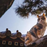 小钟同学