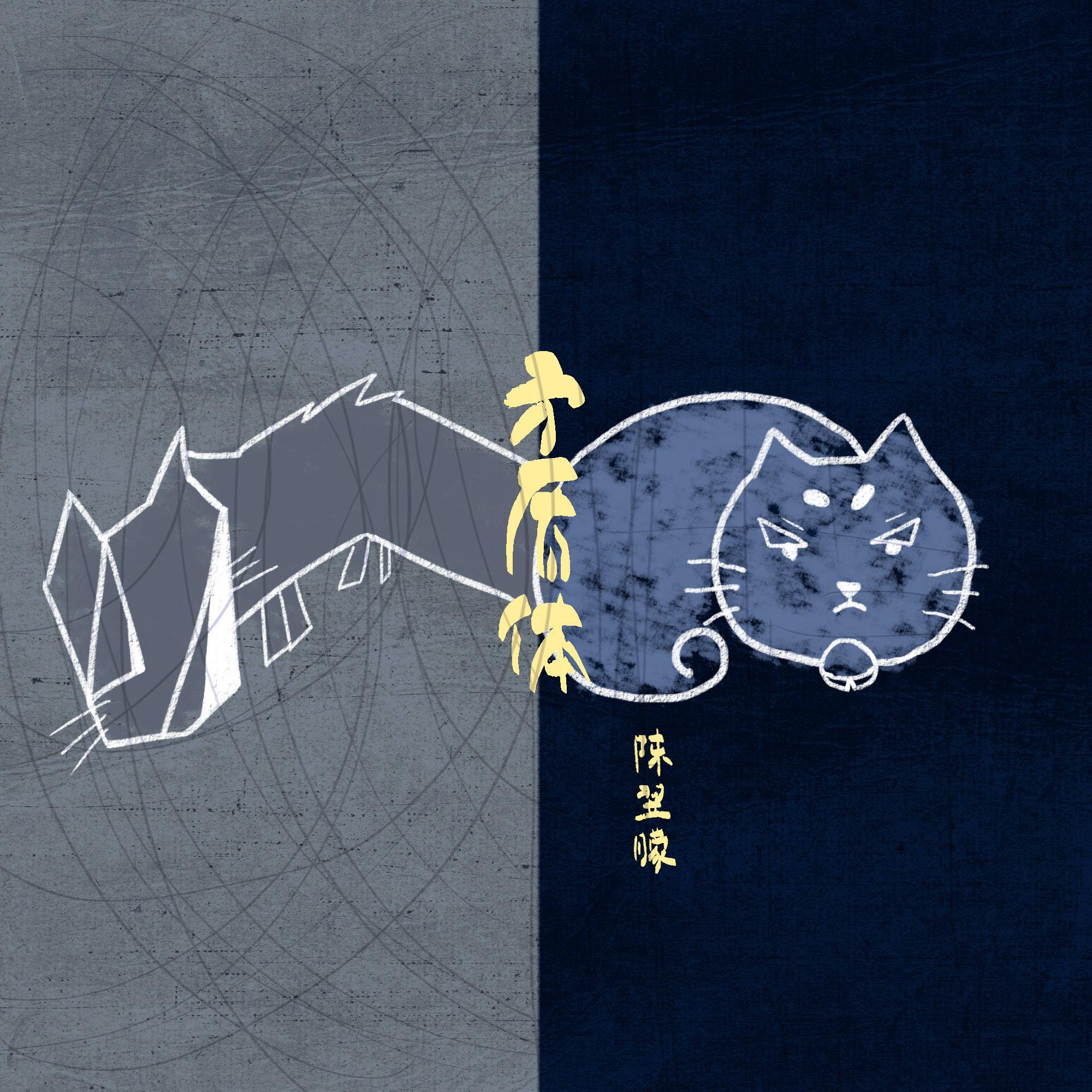 矛盾体封面