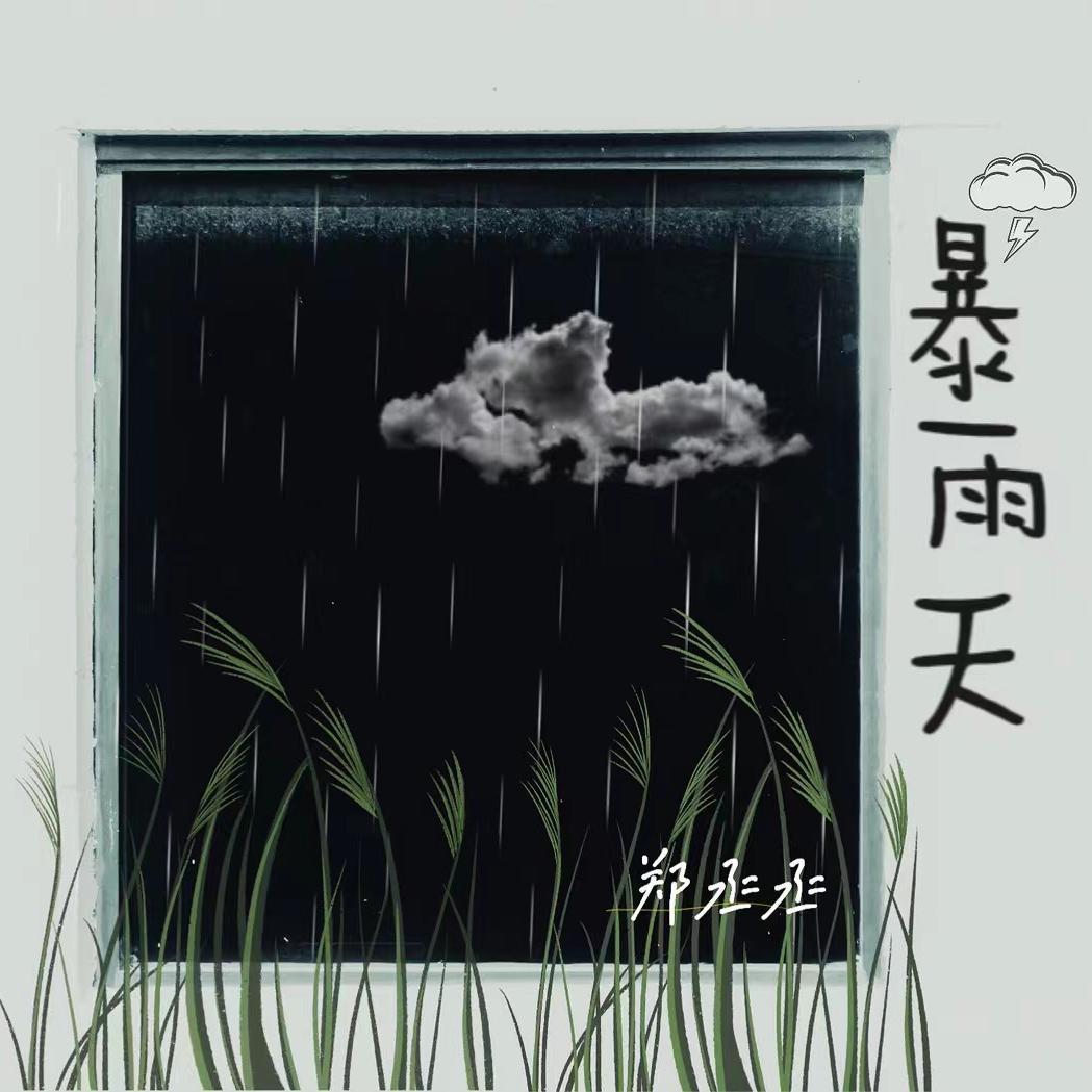 暴雨天封面