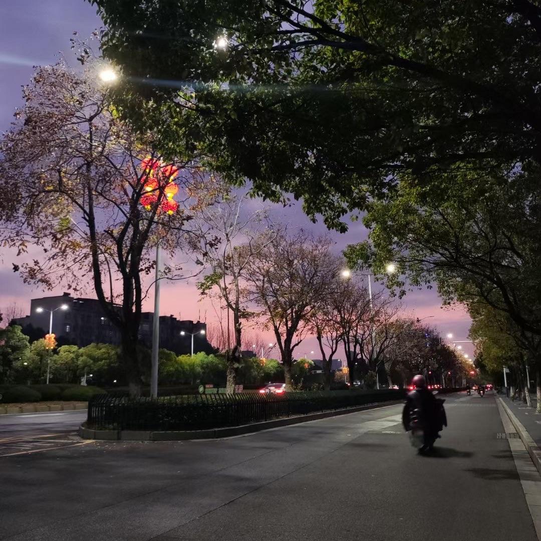 他的故乡封面