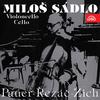 Milos Sádlo - Metamorphoses for Cello and Piano