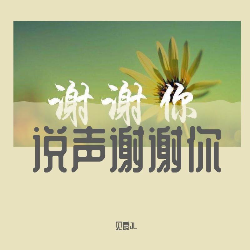 说声谢谢你封面