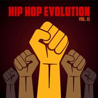 Hip Hop Evolution, Vol. 11