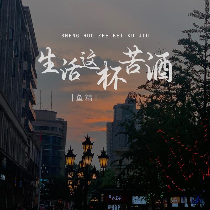 生活这杯苦酒 (DJ默涵版)封面