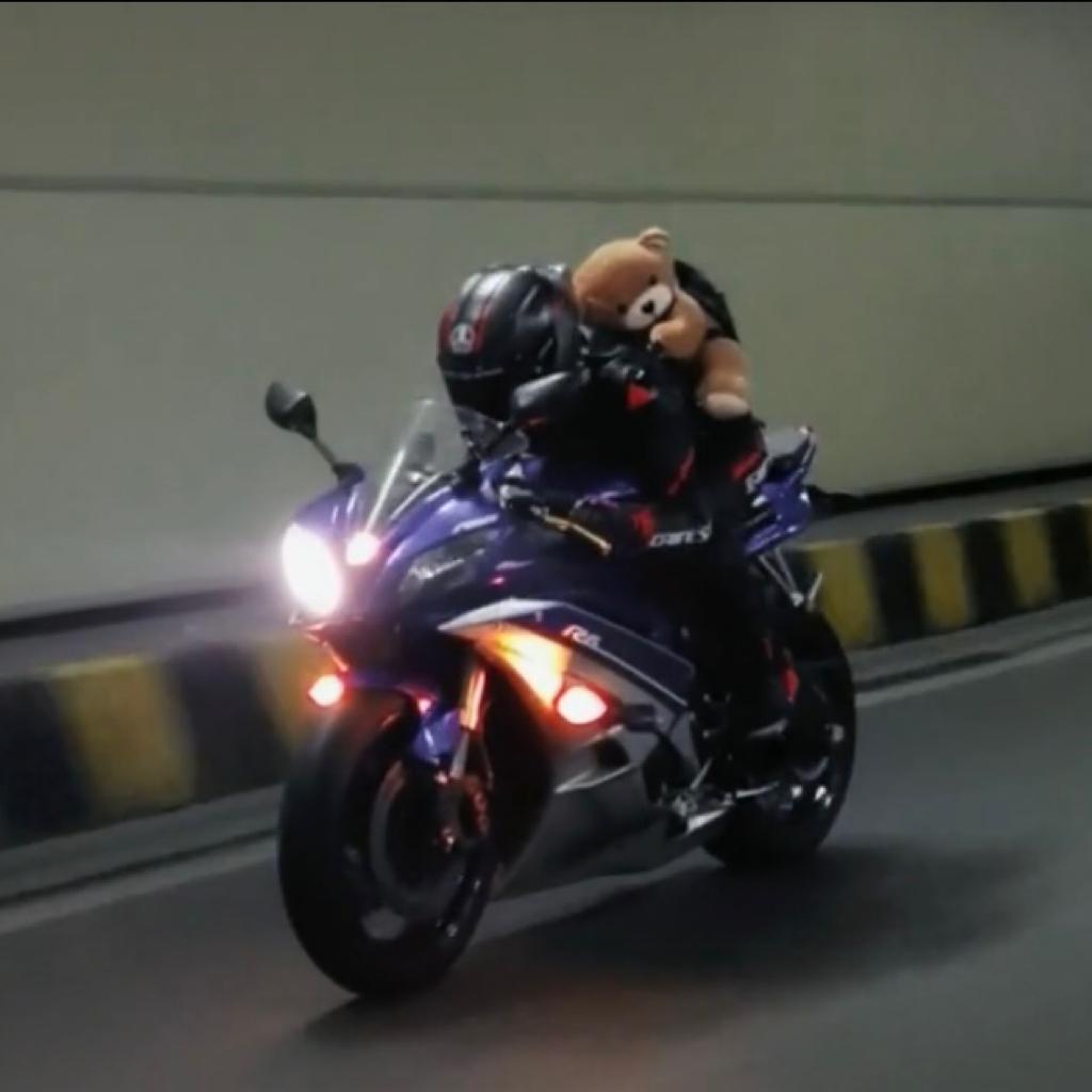 樱花下的转校生