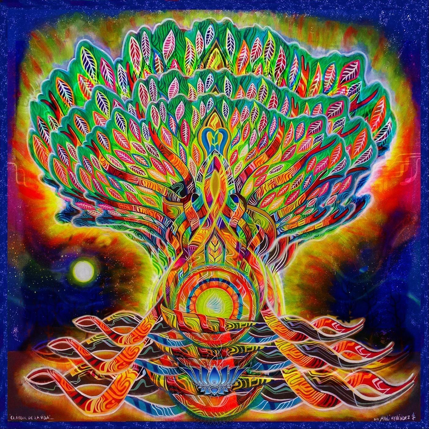 Luz (feat. Jedidiah)