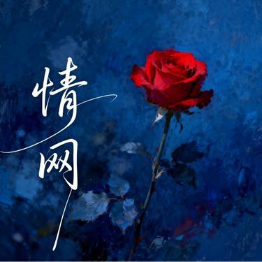 情网 (阿若版)(Remix)封面