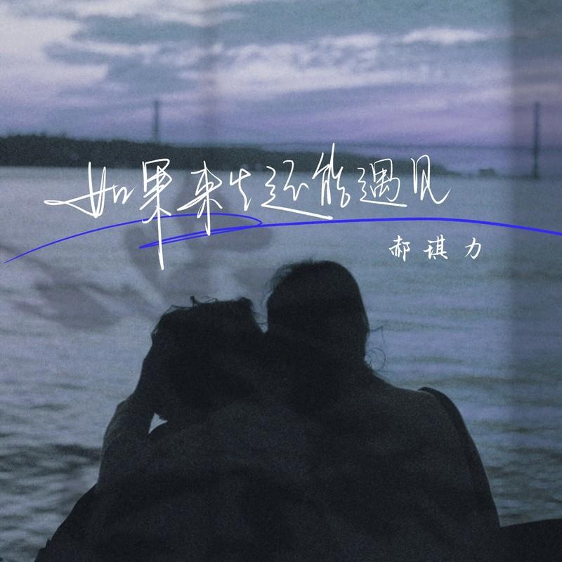 如果来生还能遇见 (DJ沈念版)封面