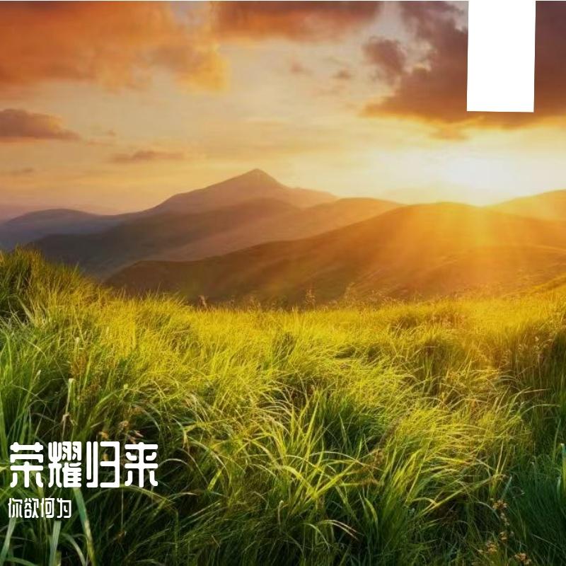 街头暴乱 - 你欲何为封面