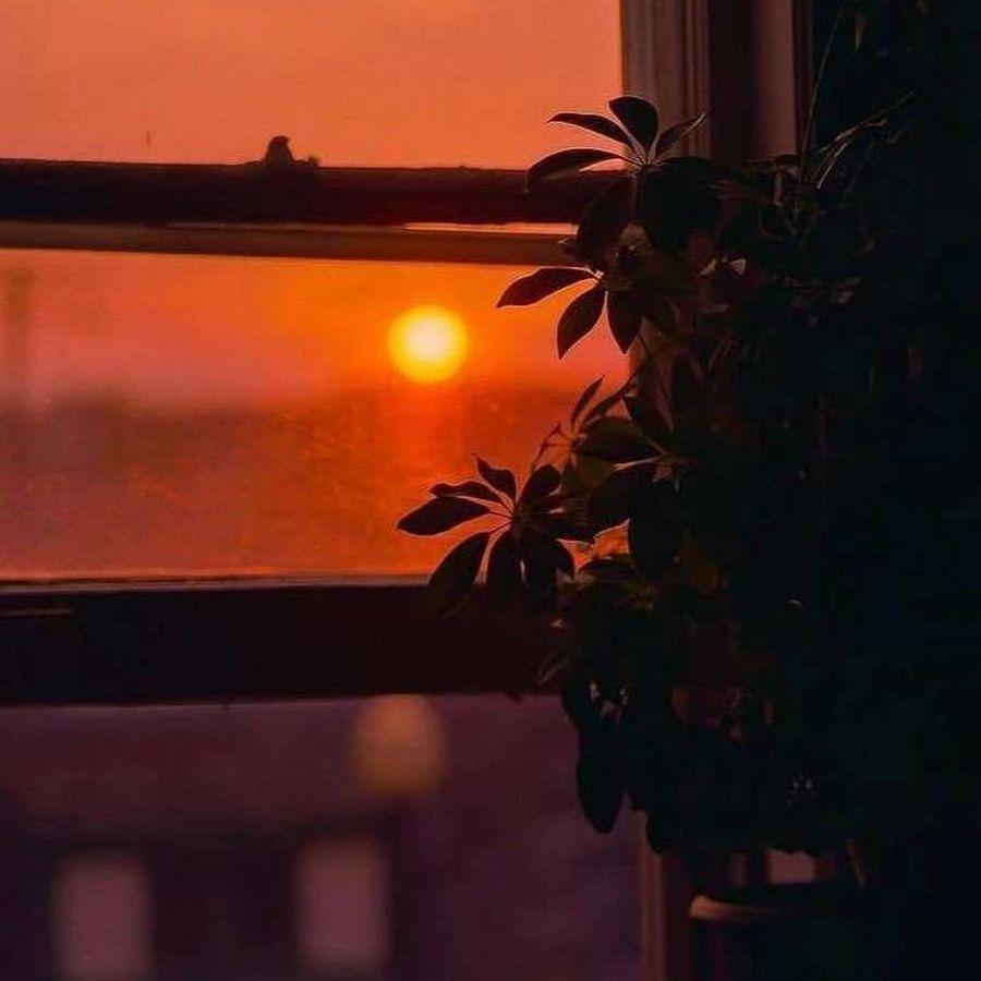 当我也成了炮灰