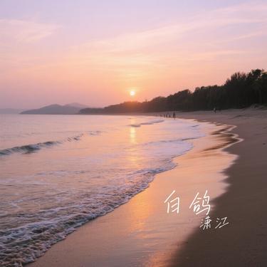 白鸽 (Cover 伍佰)封面