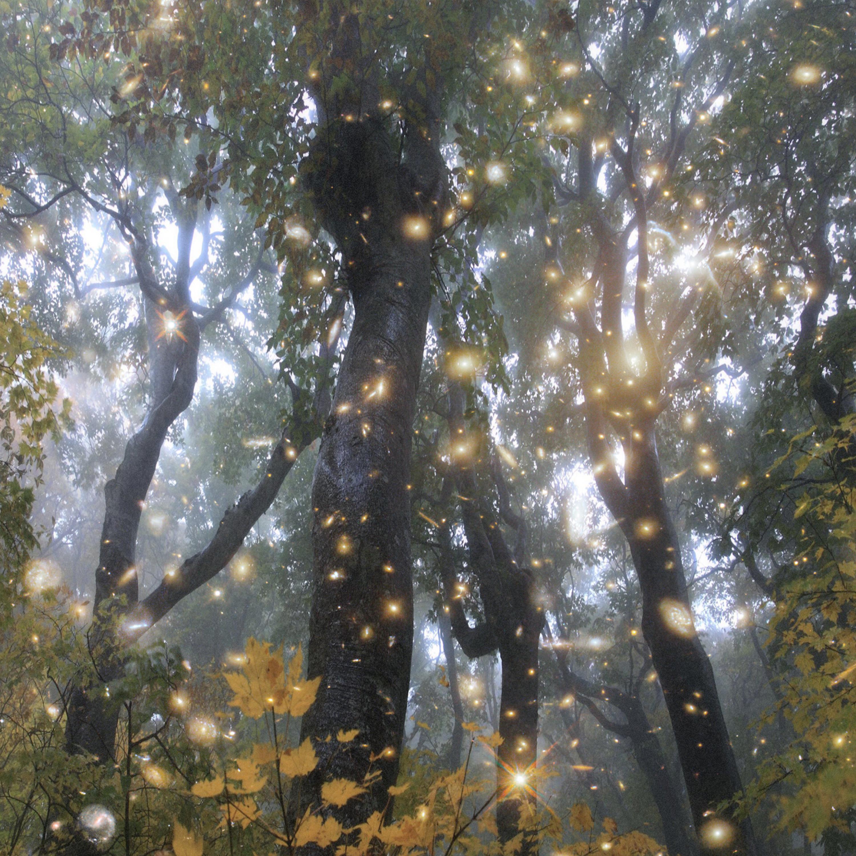 #try meee (feat. 1spxce)