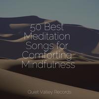 50 Best Meditation Songs for Comforting Mindfulness