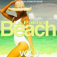 La Palma Beach, Vol. 3