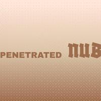 Penetrated Nub