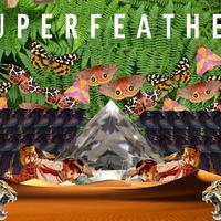Superfeather资料,Superfeather最新歌曲,SuperfeatherMV视频,Superfeather音乐专辑,Superfeather好听的歌