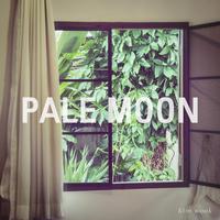 Pale Moon