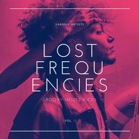 Lost Frequencies (Groovy House Kicks), Vol. 1