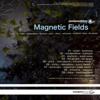 Magnetic Fields