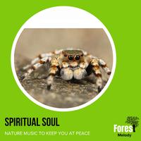 Spiritual Soul - Nature Music to Keep You At Peace