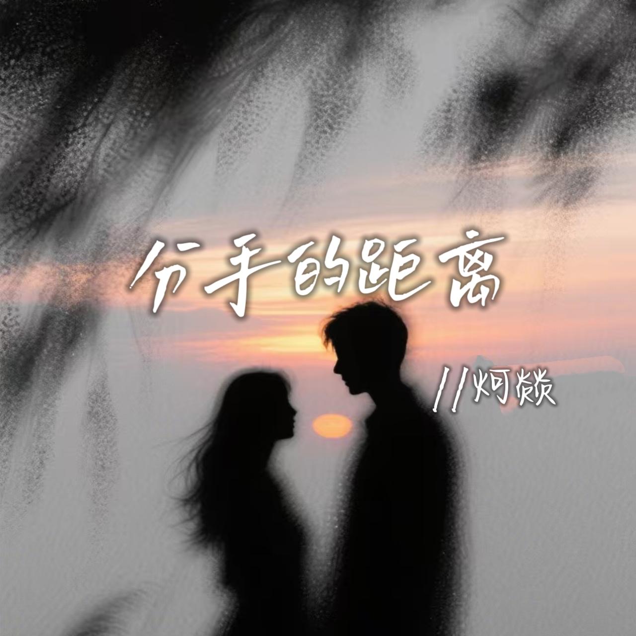 分手的距离封面