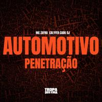 AUTOMOTIVO PENETRAÇÃO