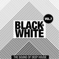 Black & White, Vol. 7