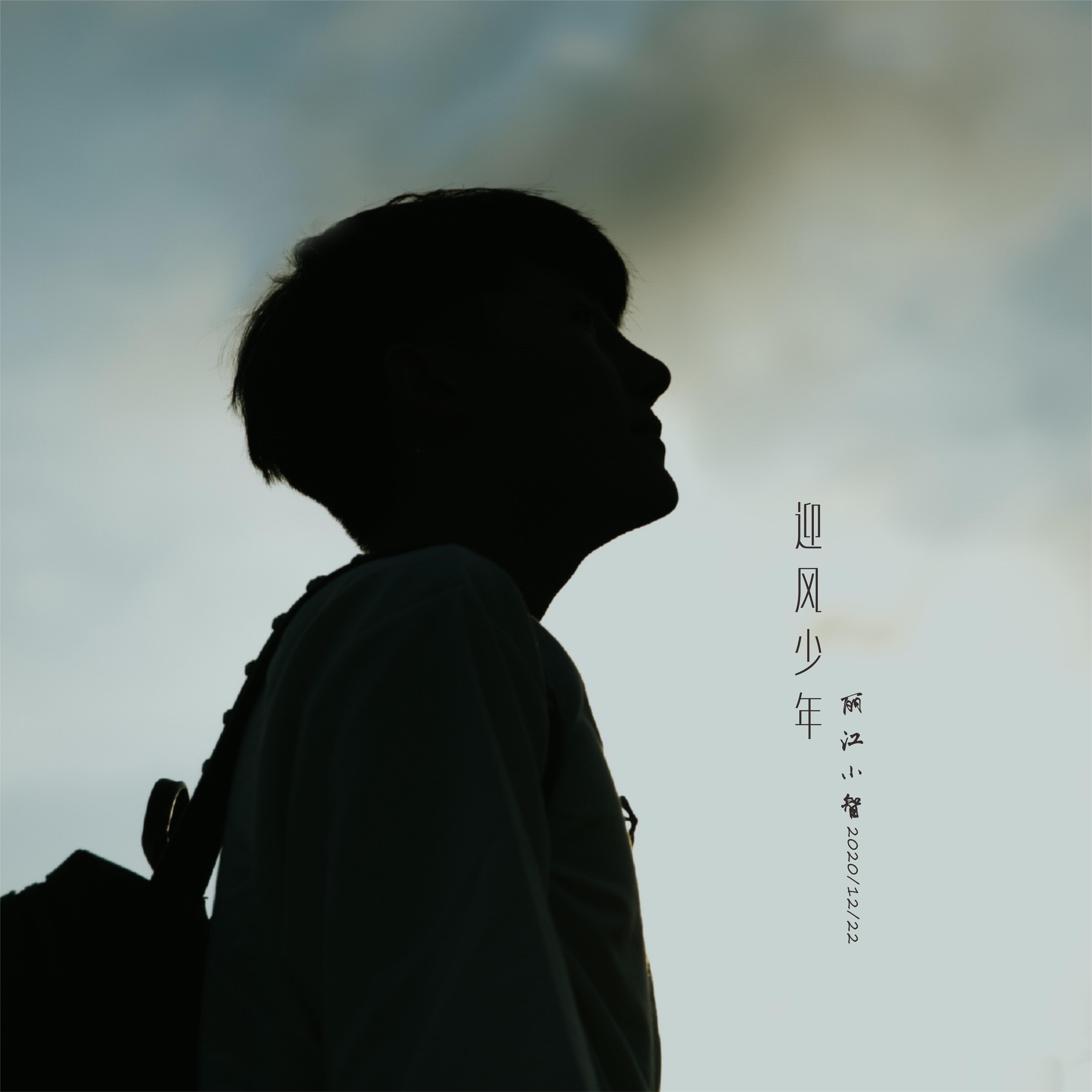 迎风少年封面