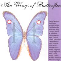 The Wings of Butterflies