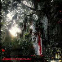 In Wonderland