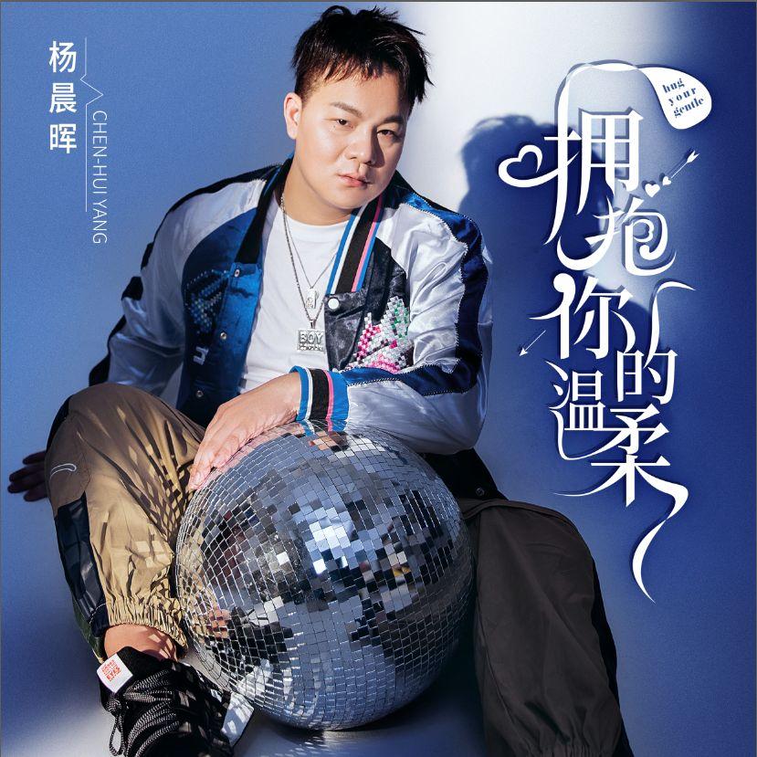拥抱你的温柔 (DJ版) - 杨晨晖封面