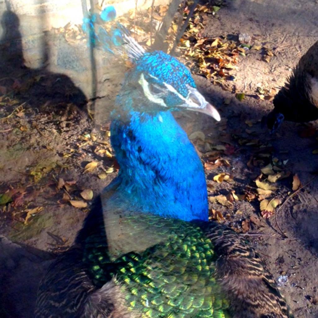 聋哑儿童的瞎世界