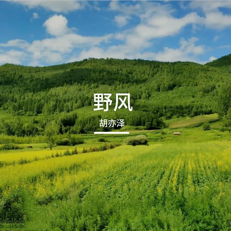 锋速 - 胡亦泽封面