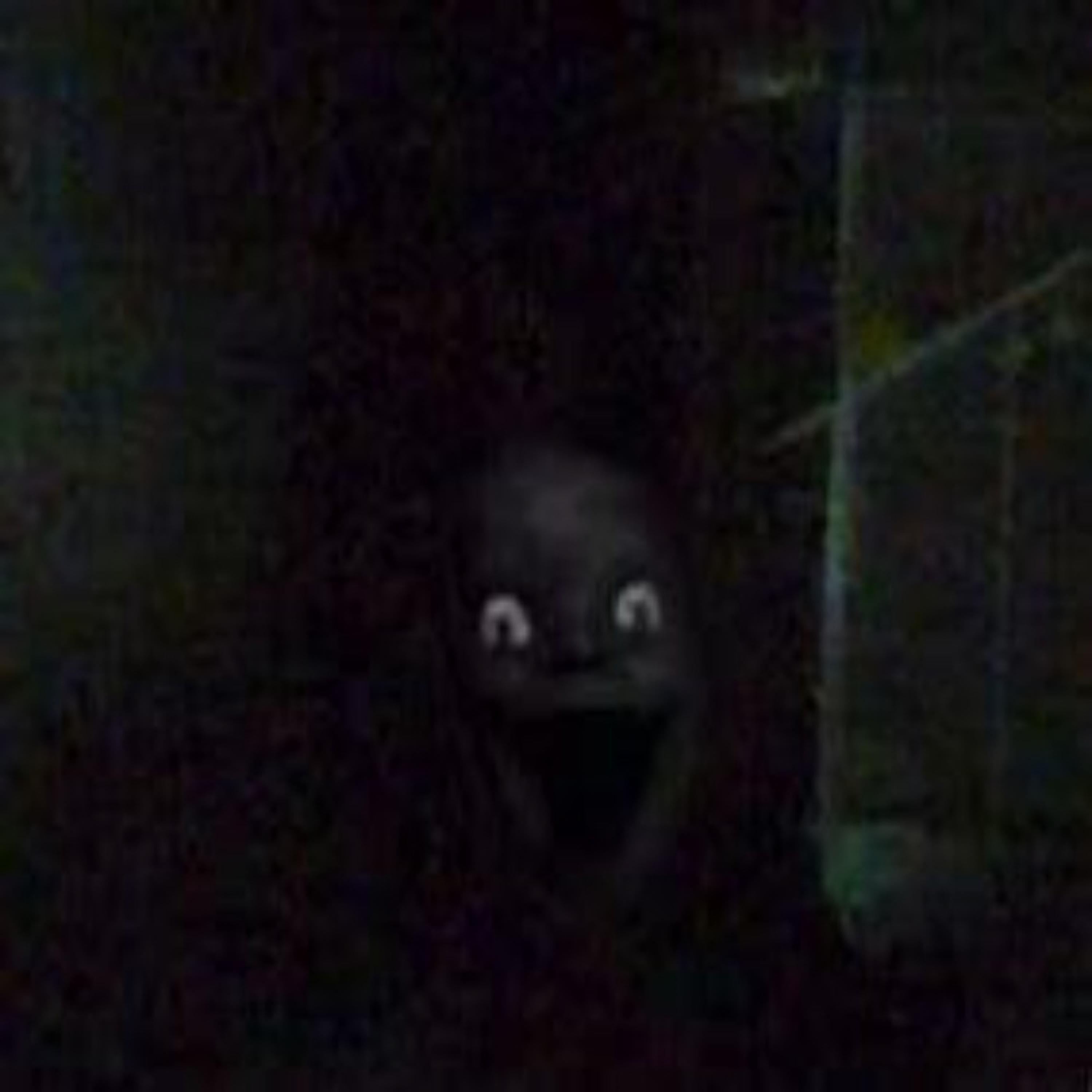 SEQUÊNCIA IMMORTAL 1.0 (feat. SXLMIXDE)