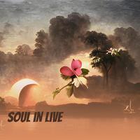 Soul in Live