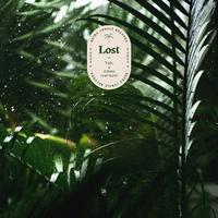 Lost