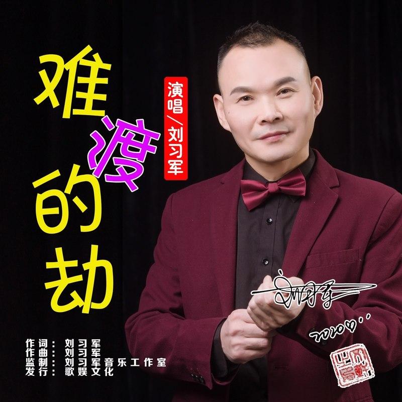 难渡的劫 - 刘习军封面