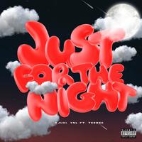 JUST FOR THE NIGHT (Prod. YNL) (feat. Teebee)